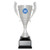 CUP213 : Willow Cup - Silver