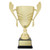 CUP271 : Avalon Gold Cup