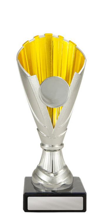 Norwood Cup Silver/Gold