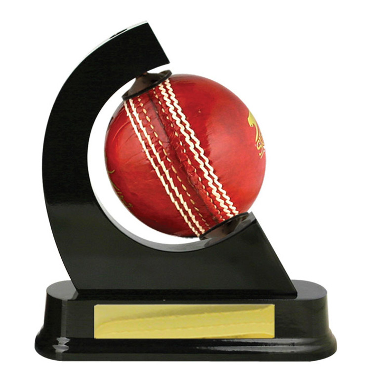 Cricket Ball Holder