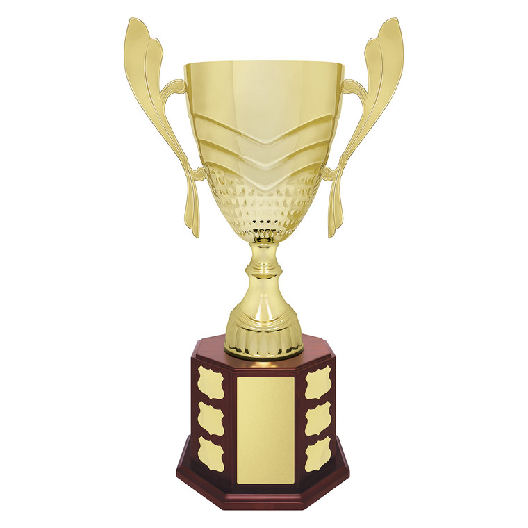 PERP46: Ensign Cup 540mm