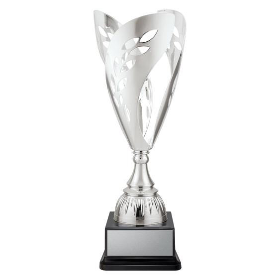 CUP289: Vittoria Cup