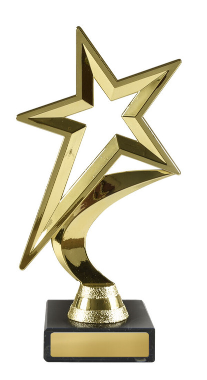 D88 : Star Award