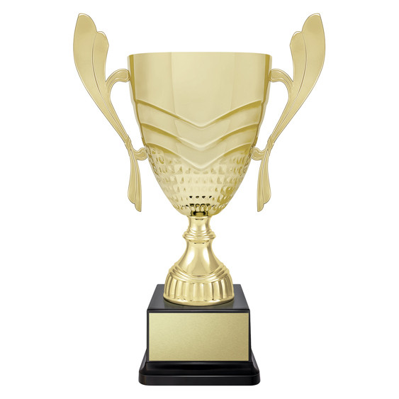 CUP271 : Avalon Gold Cup