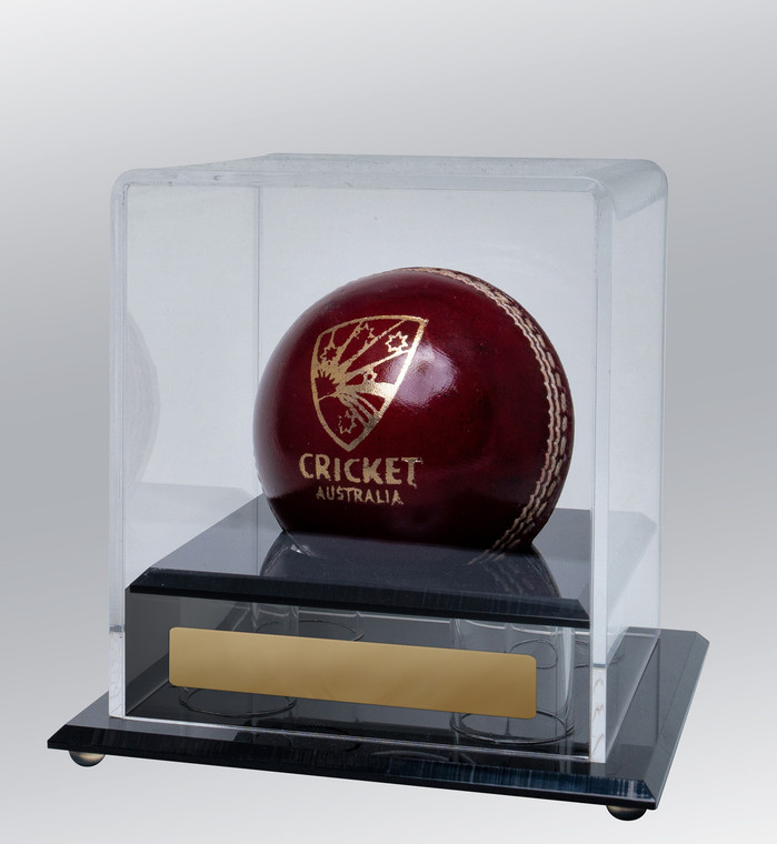 BALL1: Acrylic Ball Holder-Cricket, Baseball