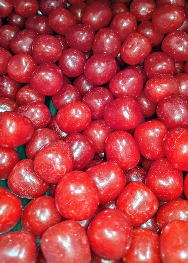 Cherry Sours