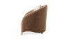 Amara 1-Seater Living Room Arm Chair