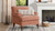 Alana 38" Lawson Accent Arm Chair Metal Casters, Peach Orange