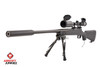 Airsoftjunkiez Custom HPA JG Bar10