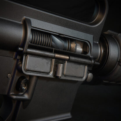 MTW Fossil Collection: Dig 2 (XM177) | Pre Order