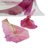 Memorial Flower Petals for Scattering - Close-Up
