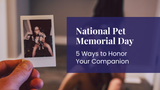 National Pet Memorial Day: 5 Ways to Honor Your Companion