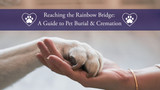 Reaching the Rainbow Bridge: A Guide to Pet Burial & Cremation
