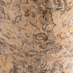Beige Marble Close Up