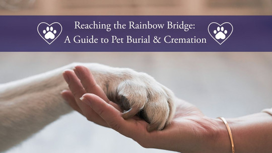Reaching the Rainbow Bridge: A Guide to Pet Burial & Cremation
