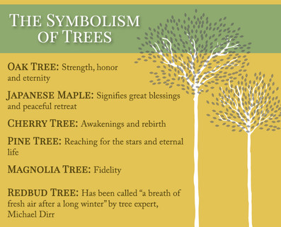 Planting a Memorial Tree for Your Loved One