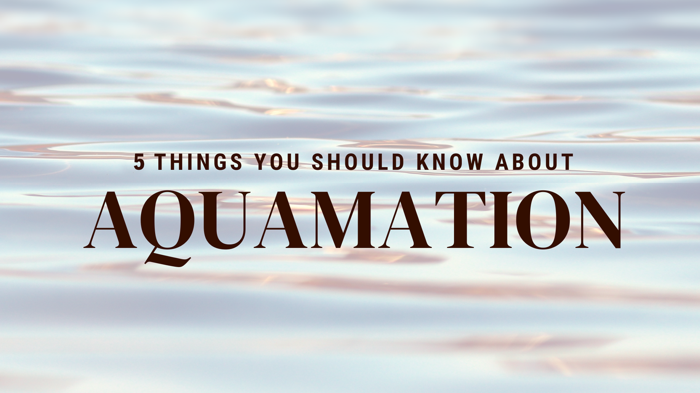Aquamation: 5 Things to Know Before Choosing This Greener Cremation Alternative