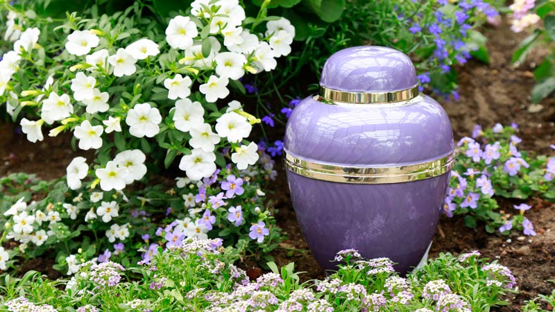 Mother’s Day After Loss: Ways to Honor, Reflect, and Remember