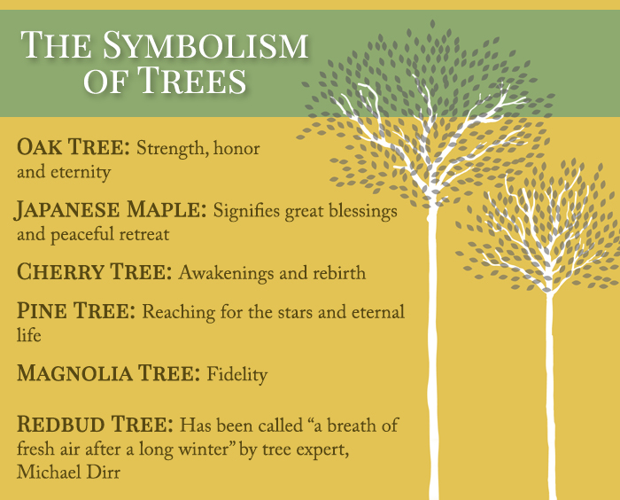 Planting a Memorial Tree for Your Loved One Planting a Memorial Tree for Your Loved One