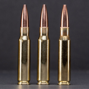 145gr Barrier Blind Hollow Point Alpha Munitions Brass .308 Win 145gr Barrier Blind Hollow Point Alpha Munitions Brass .308 Win