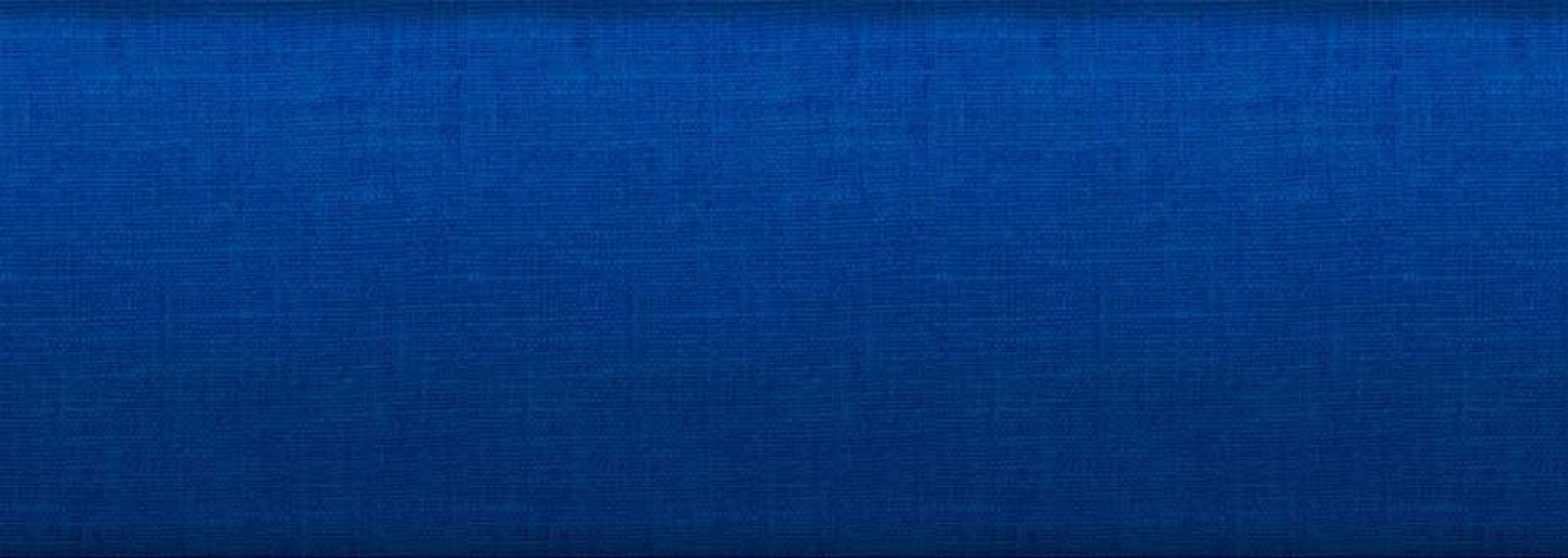 Explore Our Showcase of <b>Success</b>