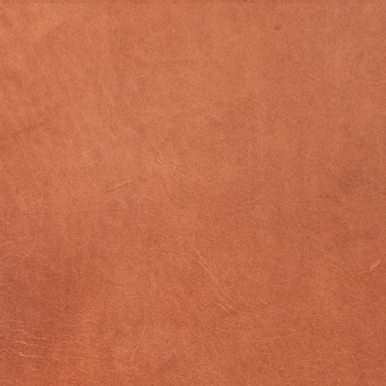 Frank, Gingerbread Brown