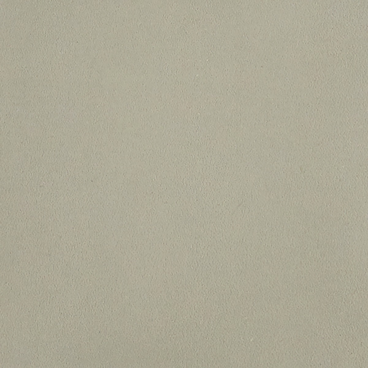 Hunter, Jolene, Winston, Noah, Gray