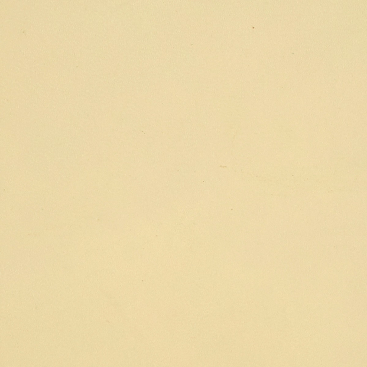 Hunter, Jolene, Winston, Noah, Ivory