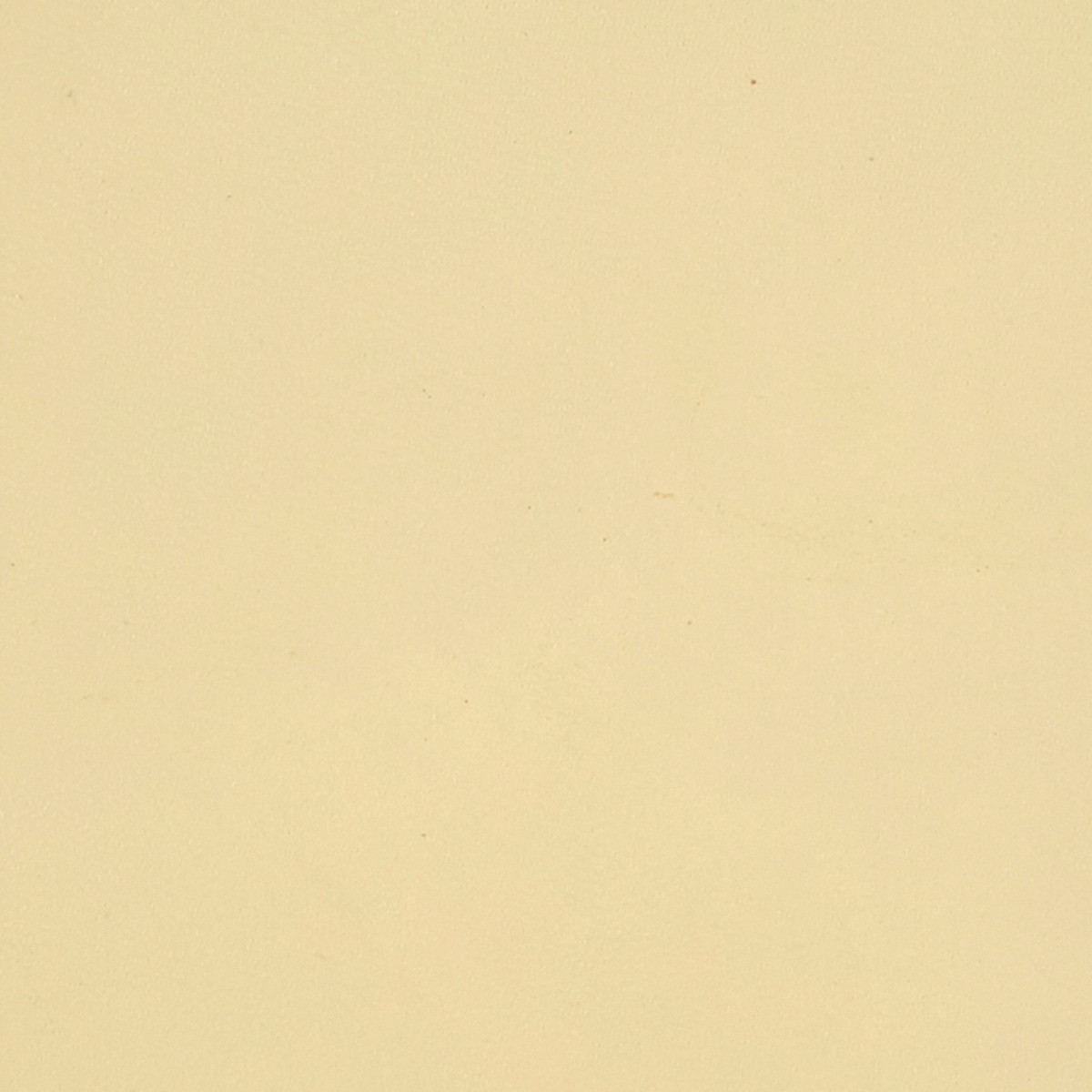 Hunter, Jolene, Winston, Noah, Ivory