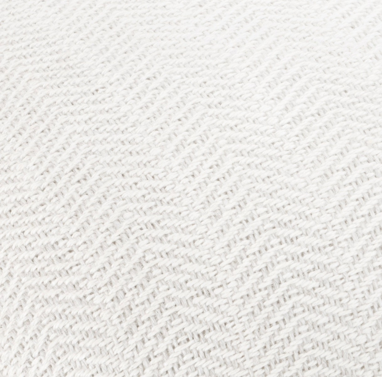 Odette, Orion, Oatmeal