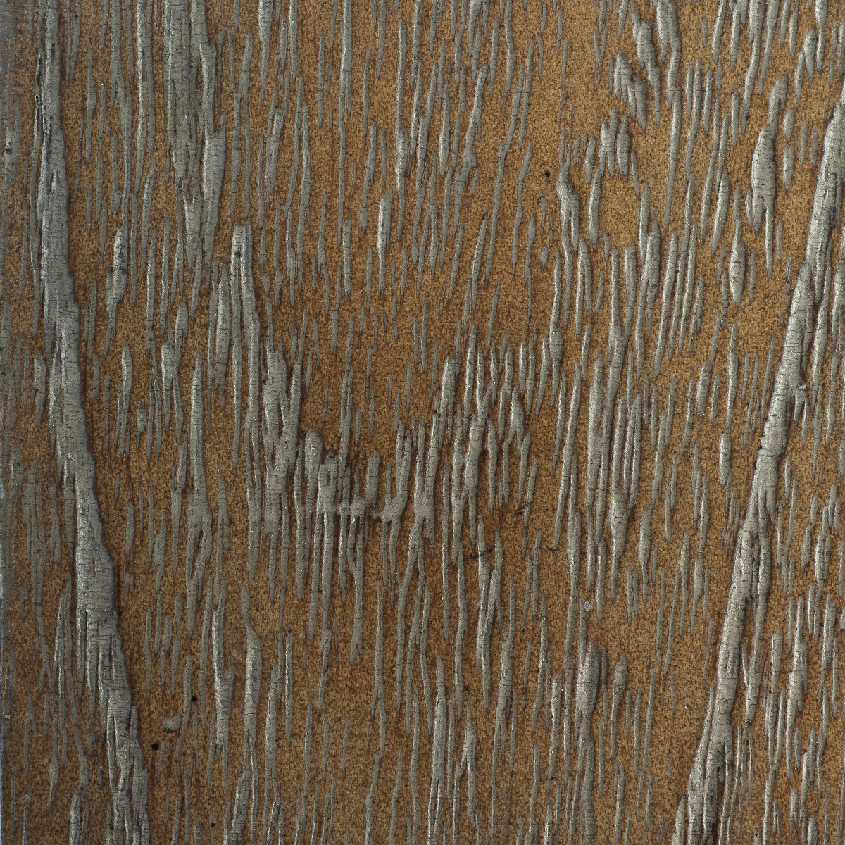 Bosco, Edward, Jansen, Jerome, Monaco, Nicola, Orion, Paris, Driftwood