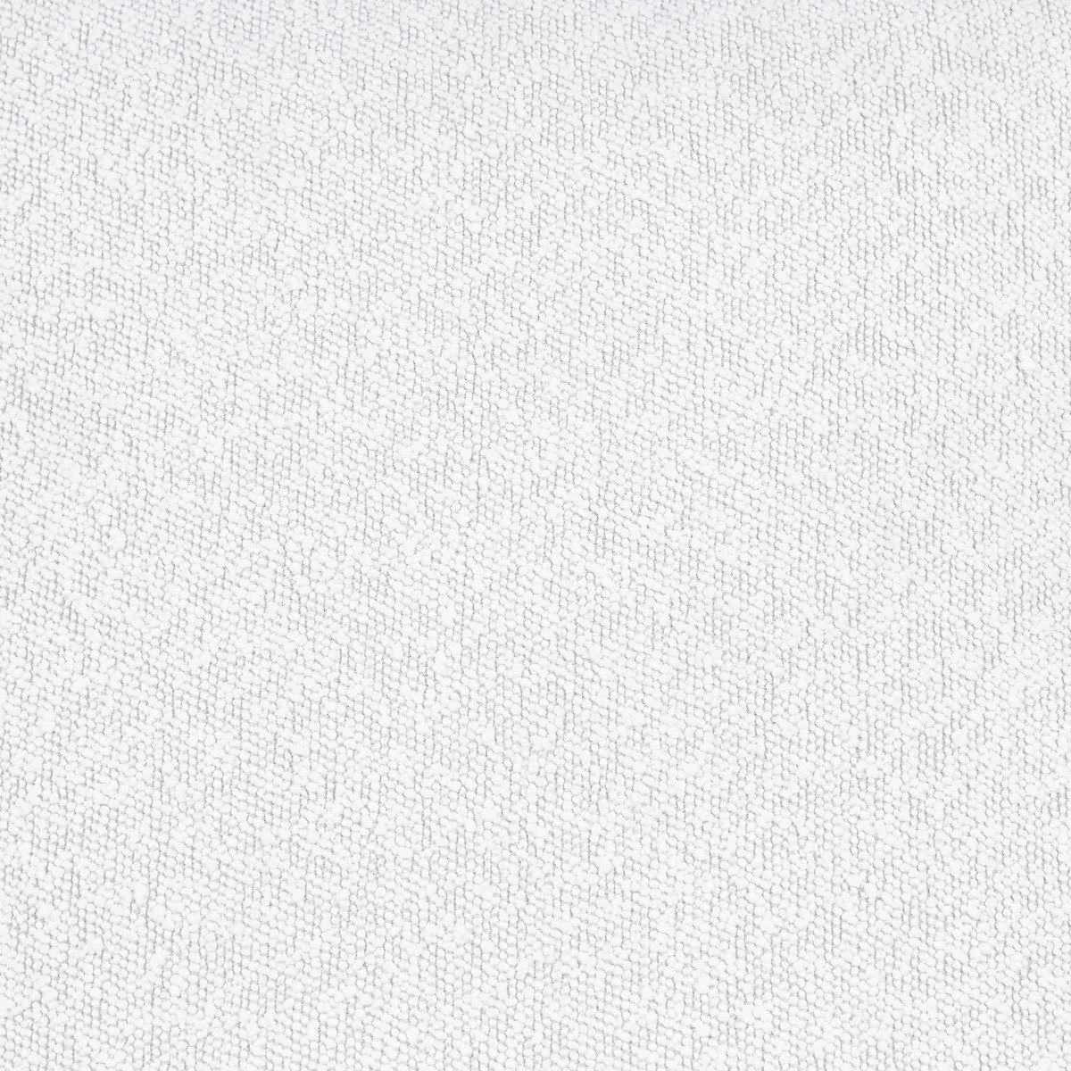 Oliver, Edda, Carson, Everett, George, Whitesmoke