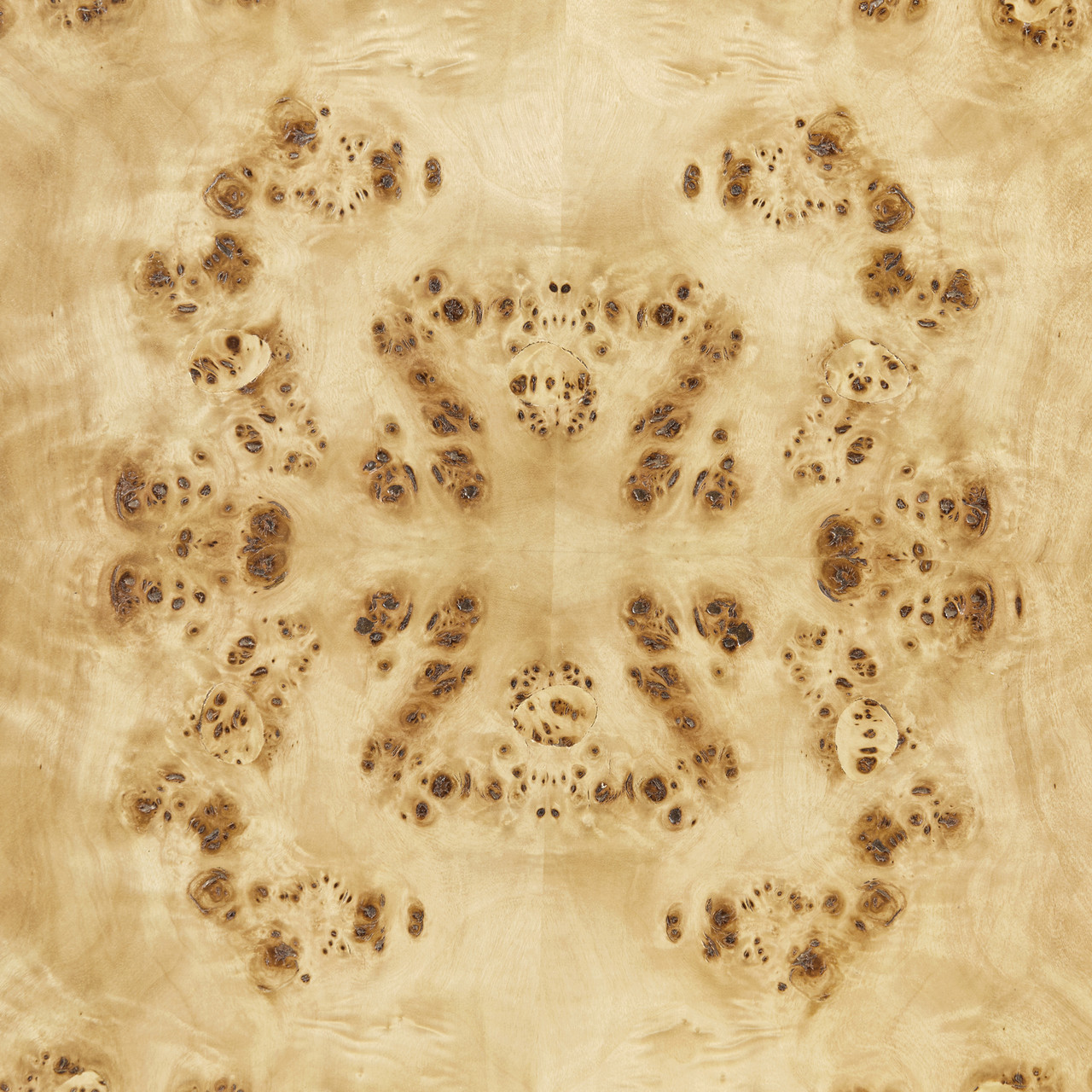 Beau Bernard Cole Easton Emil Helena Lauren Melissa Modena Norma Octavia Sloane Ophelia, Burl