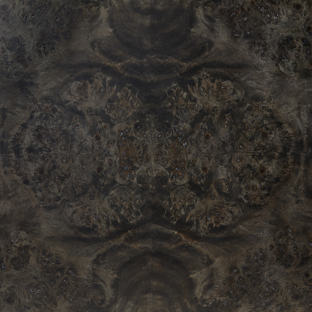 Beatrice, Harriet, Lennon, Ophelia, Philippe, Casey, Arabica Burl