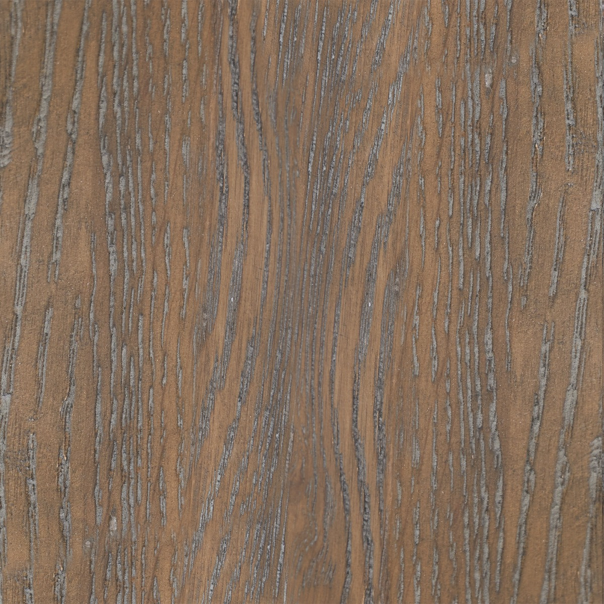 Delon, Edda, Eva, Karen, Milo, Oliver, Raleigh, Everett, George, Driftwood