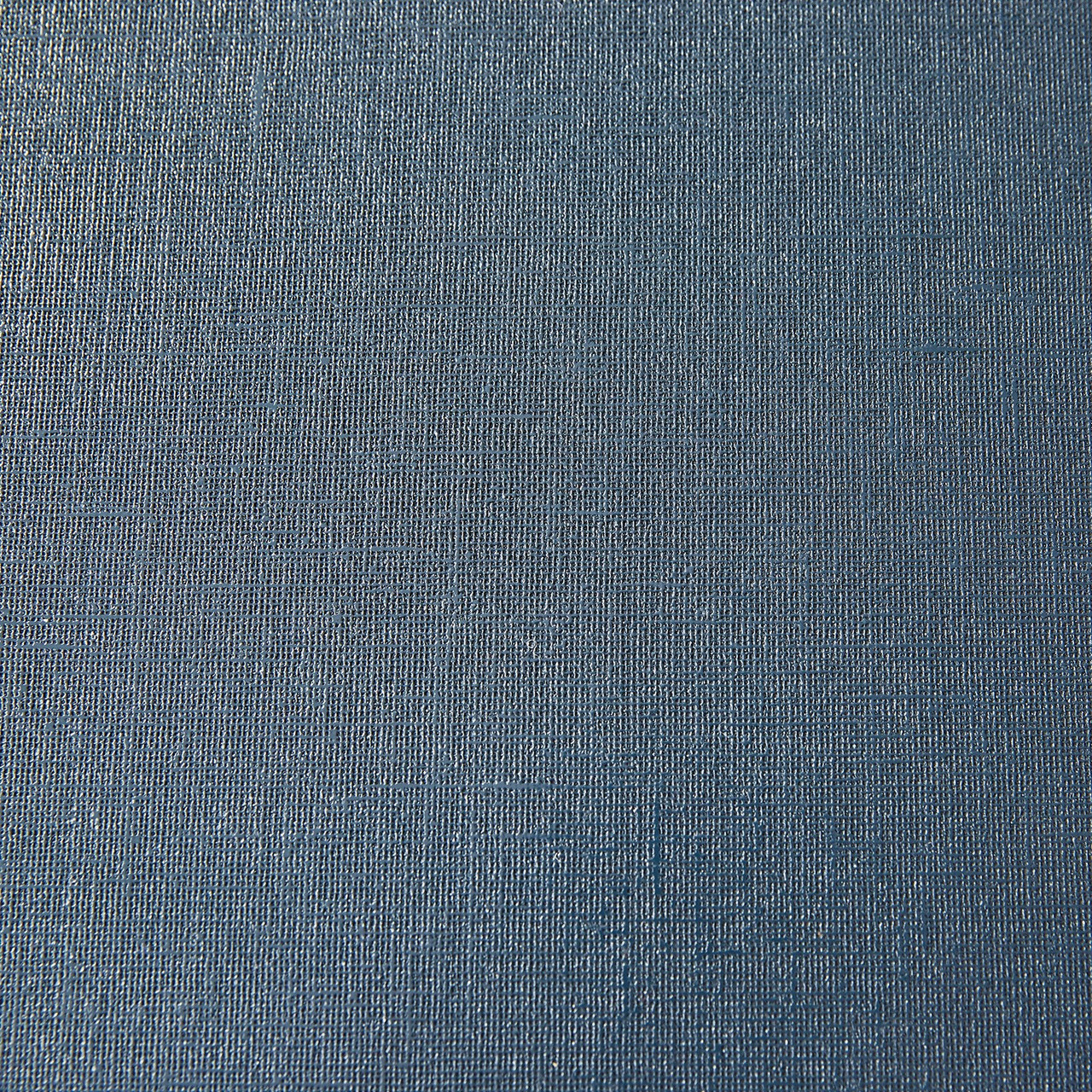 Ansel Benjamin Bryant Carmen Cubik Essential Mila, Blue Steel