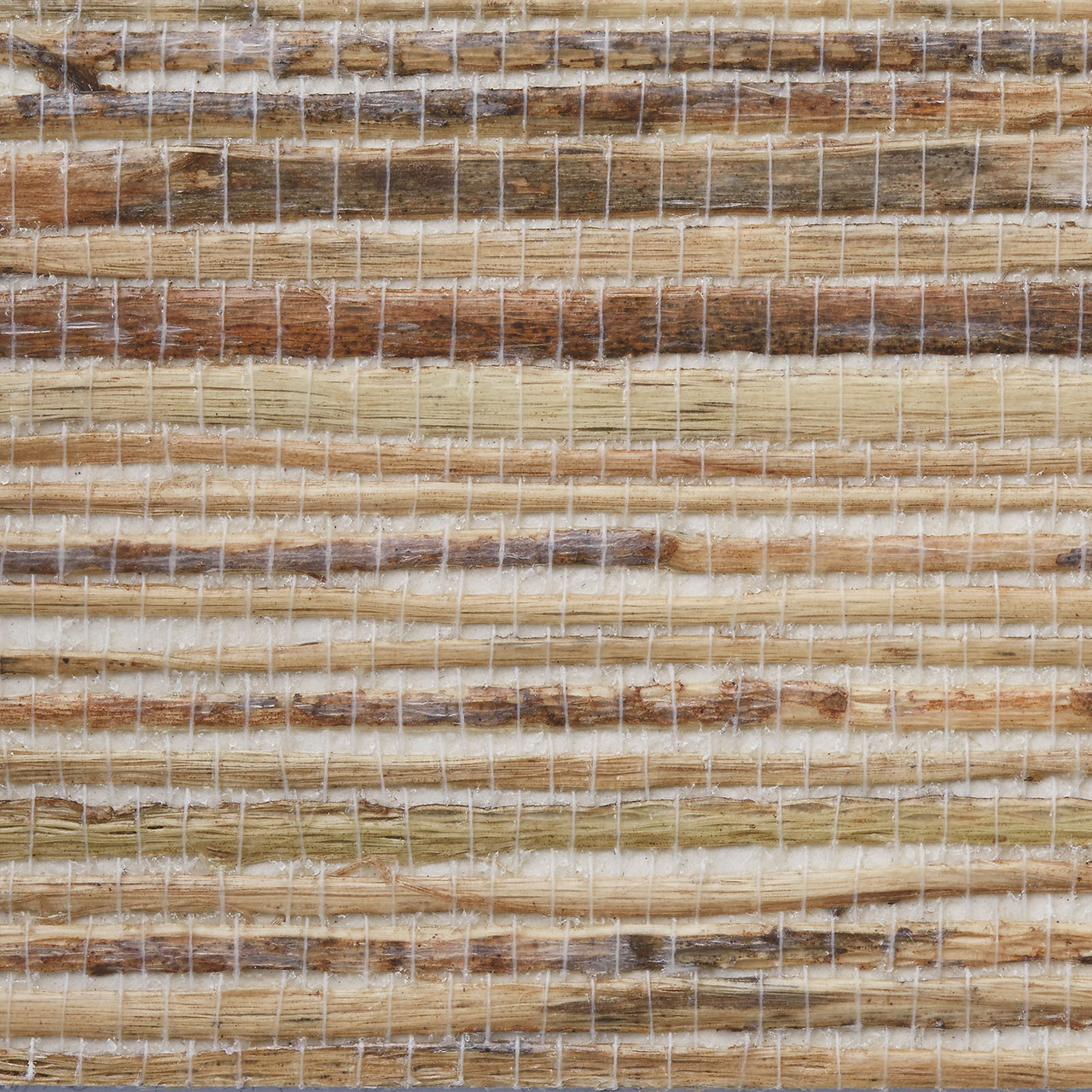 H-Bench, Morgan, Parsons, Valentina, Papyrus