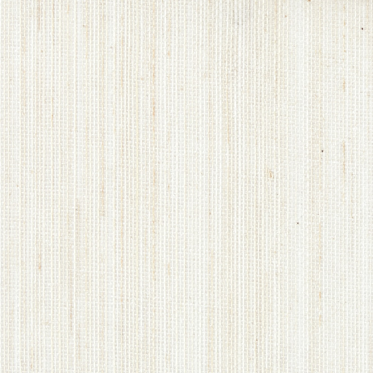 Albert, Simon, Light Natural Shimmer
