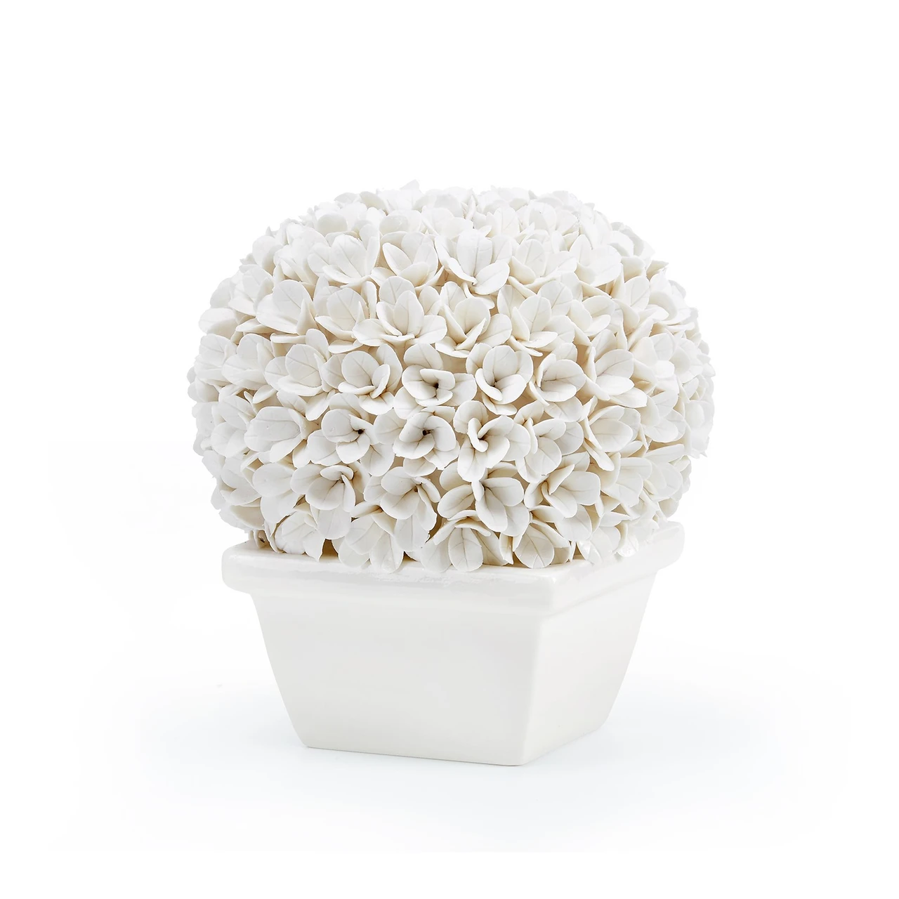Boston Round Boxwood Topiary, Blanc de Chine
