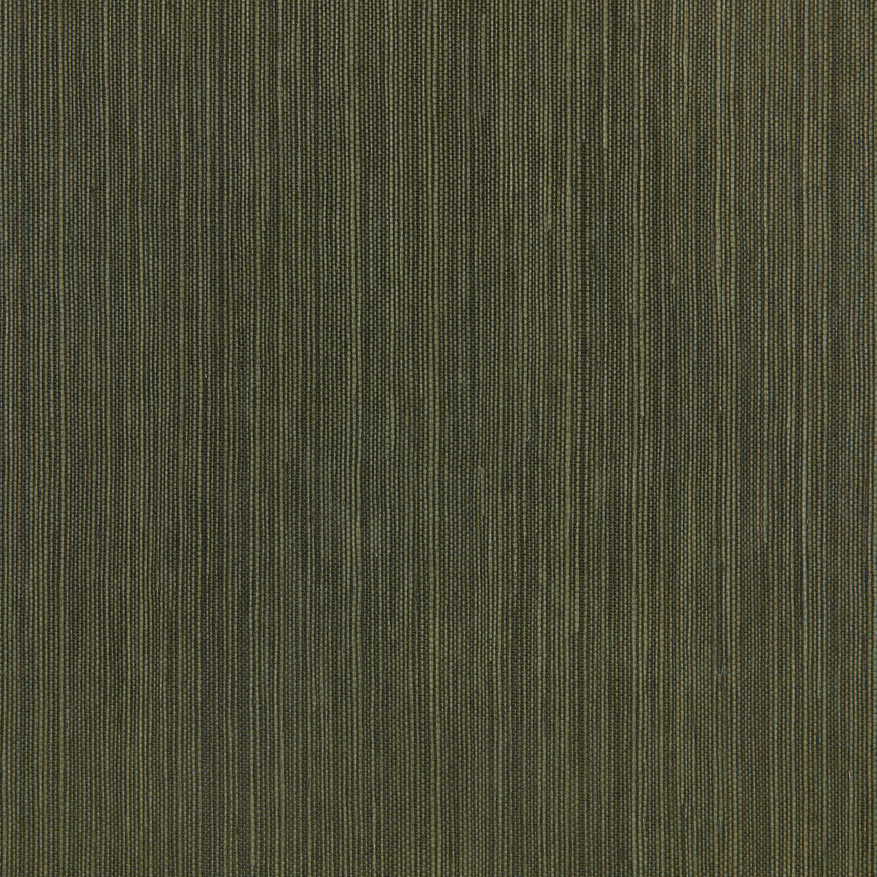 Aaron, Camden, Deep Olive