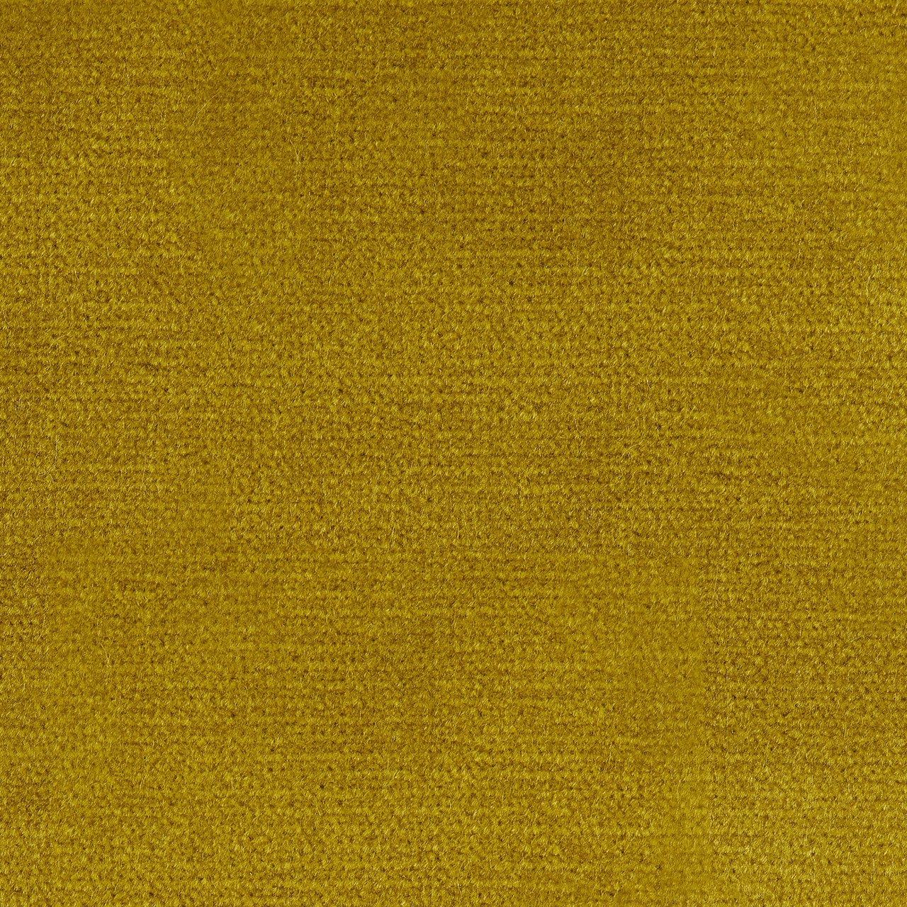 Custom Fabric Option, Swooning Citron