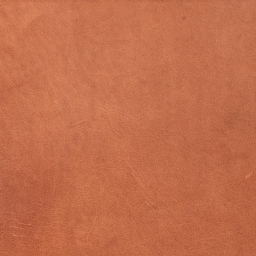 Frank, Gingerbread Brown