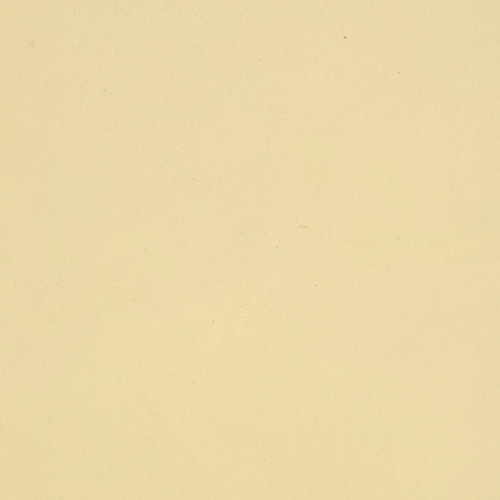 Hunter, Jolene, Winston, Noah, Ivory