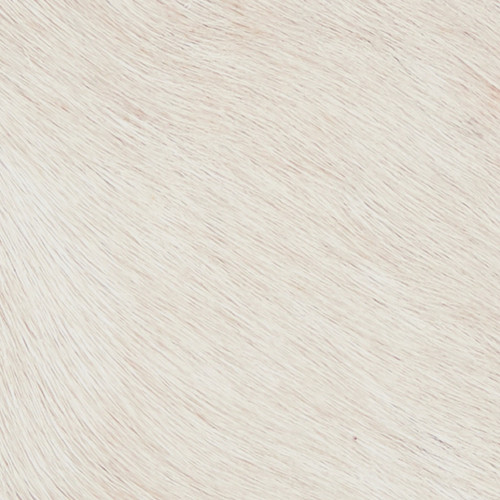 Andre, Florian, Julius, Odeon, Winston, Snow