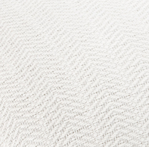 Odette, Orion, Oatmeal