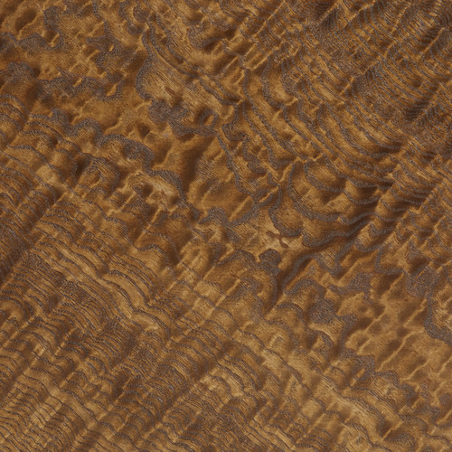 Velma, Honeyed Burl