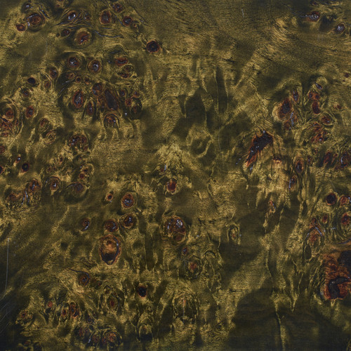 Callie, Tuscan Olive Burl