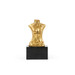 Milo Statue, Gold Leaf