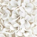 Mayfair Tall Boxwood Topiary, Blanc de Chine