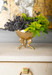 Pegasus Bowl, Brass